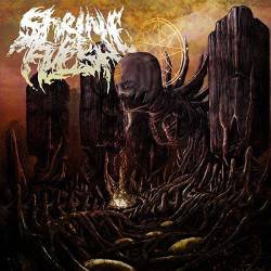 Generations of the Void